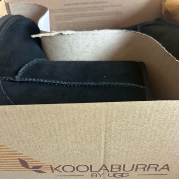 Kookaburra new in box size - Picture 4 of 16